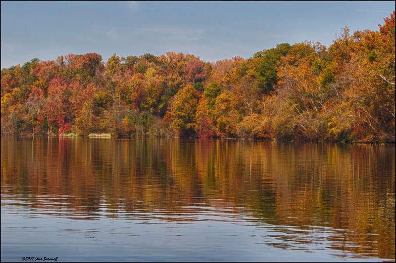 _2SB9032_HDR james river foliage.jpg